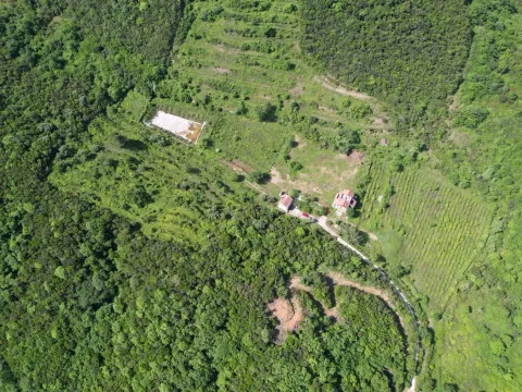 Prodaja, plac, 83000m², Radanovići, Kotor - image 6