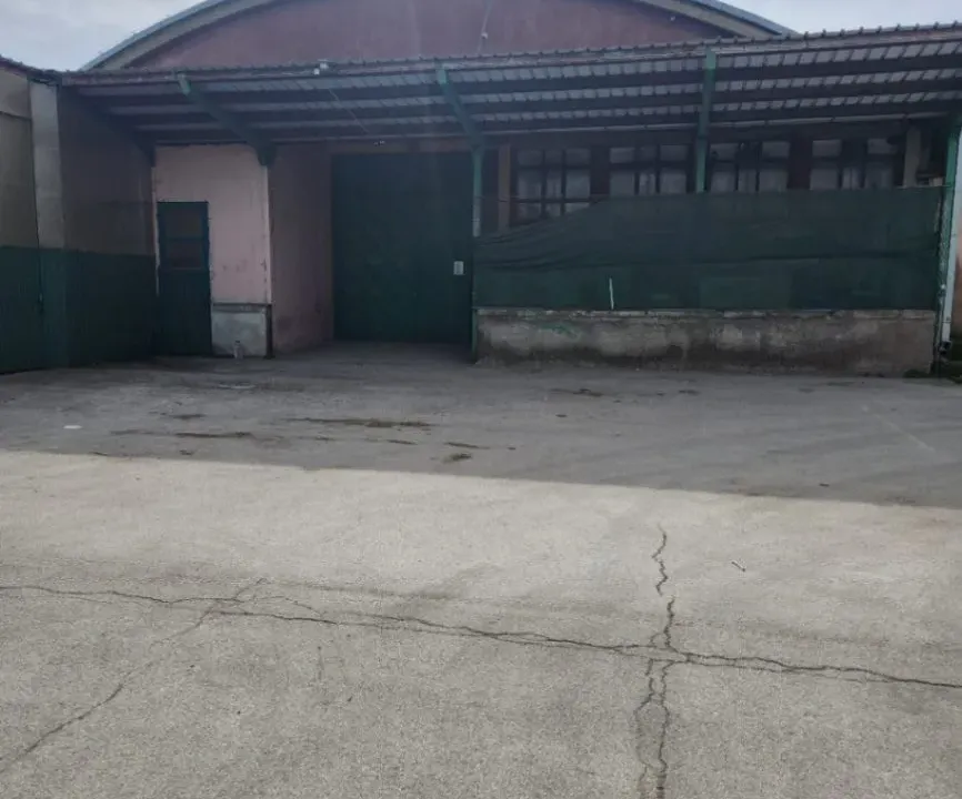 Izdavanje, poslovni prostor, 900m², Radna Zona Sever 1, Novi Sad Sve Podlokacije