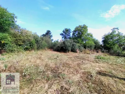 Prodaja, plac, 3600m², Trlić, Ub - image 3