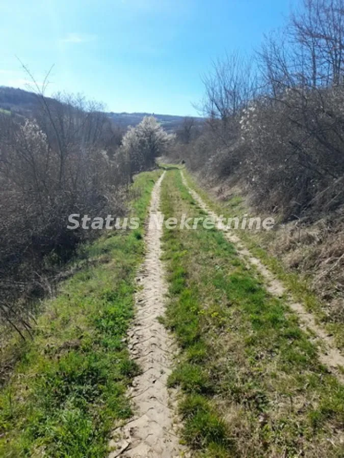 Prodaja, plac, 7025m², Sremski Karlovci, Novi Sad