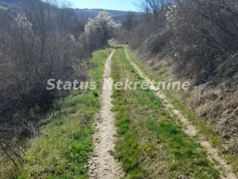 Sale, land lot, 7000m², Sremski Karlovci, Novi Sad - image 3
