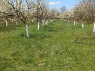 Prodaja, plac, 58m², Banjani, Ub - image 2