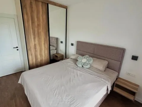 Izdavanje, jednosoban stan, 50m², Stari Aerodrom, Podgorica - image 7