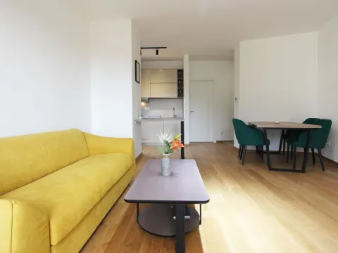 Izdavanje, jednosoban stan, 48m², Bečići, Budva - image 2