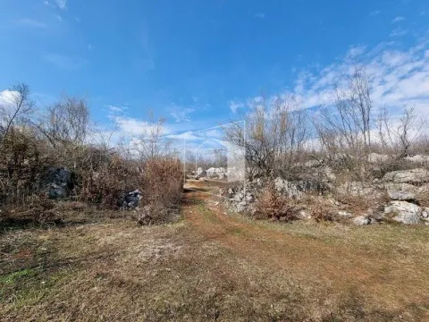 Prodaja, plac, 13500m², Bandići, Danilovgrad - image 3