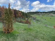 Prodaja, plac, 8000m², Žabljak, Crna Gora - image 5