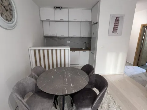 Rent, one bedroom apartment, 45m², Zabjelo, Podgorica - image 3