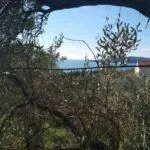 Prodaja, plac, 322m², Budva, Crna Gora - image 5