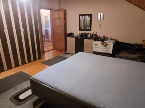 Sale, house, 179m², Adice, Novi Sad Sve Podlokacije - image 4