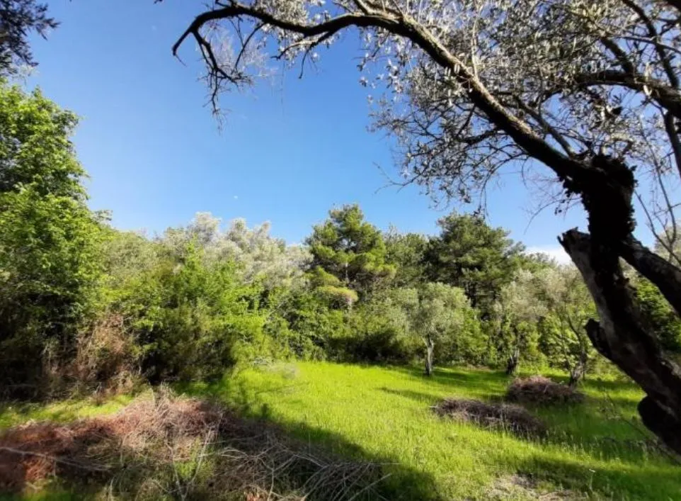 Prodaja, plac, 2177m², Kavač, Kotor