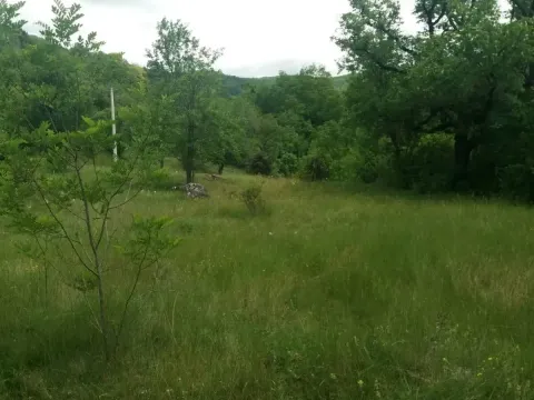 Prodaja, plac, 120m², Nikšić, Crna Gora - image 4