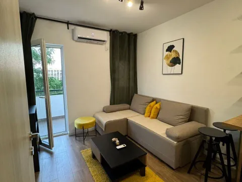 Izdavanje, jednosoban stan, Stari Aerodrom, Podgorica - image 13