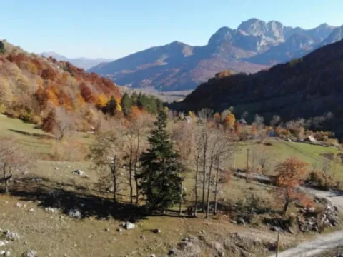 Prodaja, plac, 32013m², Gornje Lipovo, Kolašin - image 5