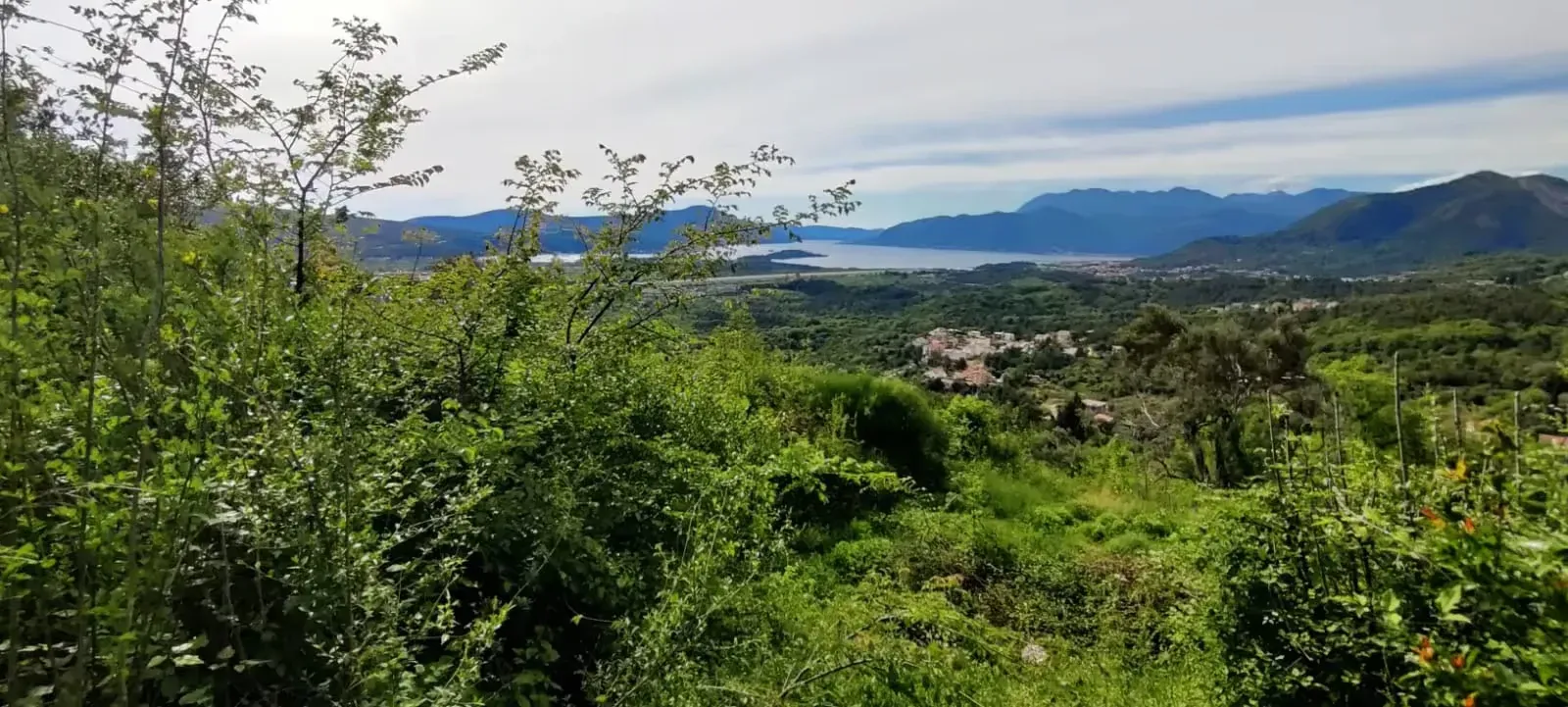 Prodaja, plac, 491m², Kotor, Crna Gora