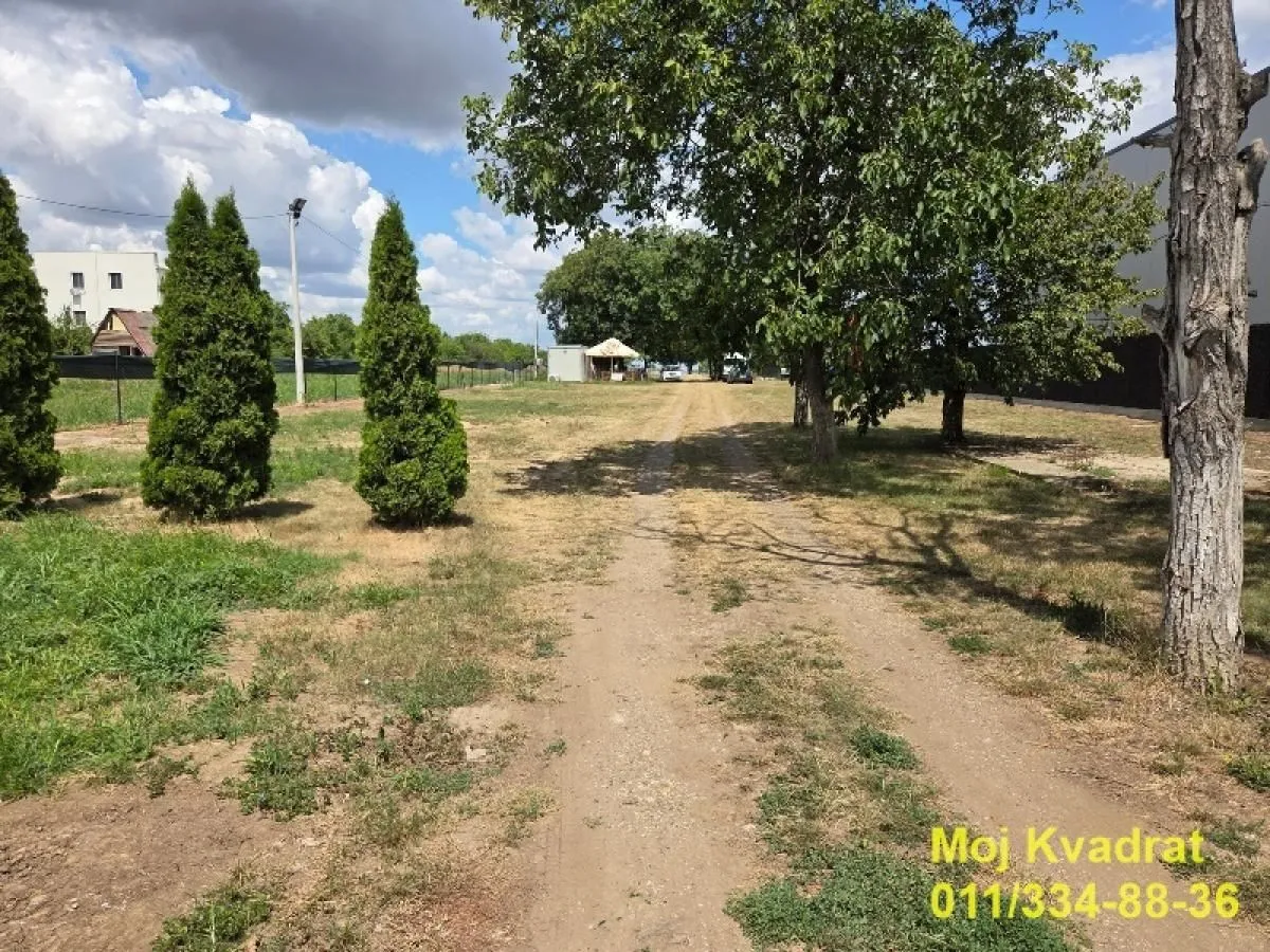 Rent, land lot, 1900m², Surčin, Beograd