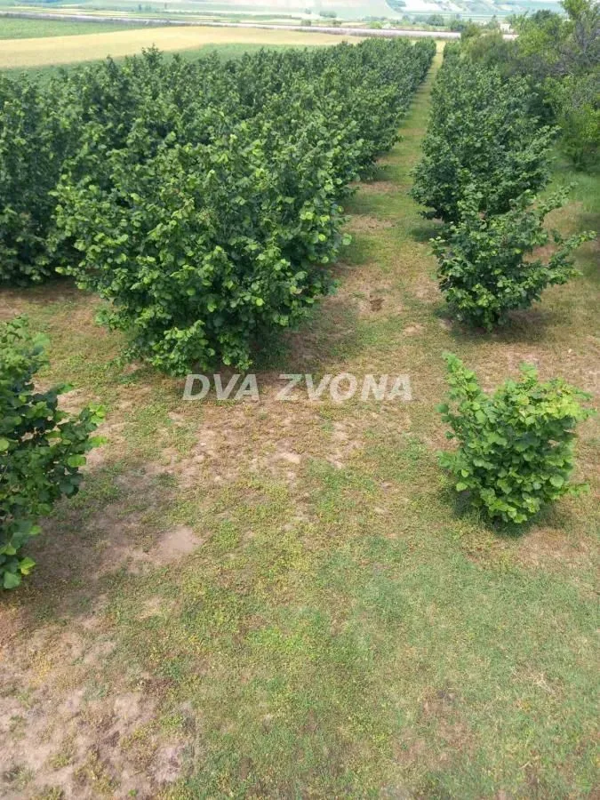 Sale, house, 206m², Beška, Inđija