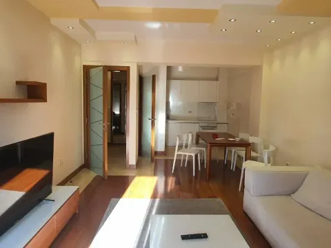 Izdavanje, jednosoban stan, 55m², Centar, Podgorica - image 2