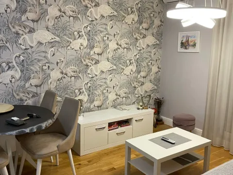 Rent, one bedroom apartment, 34m², Zabjelo, Podgorica - image 3