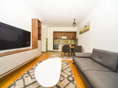 Rent, one bedroom apartment, 45m², Zabjelo, Podgorica - image 1