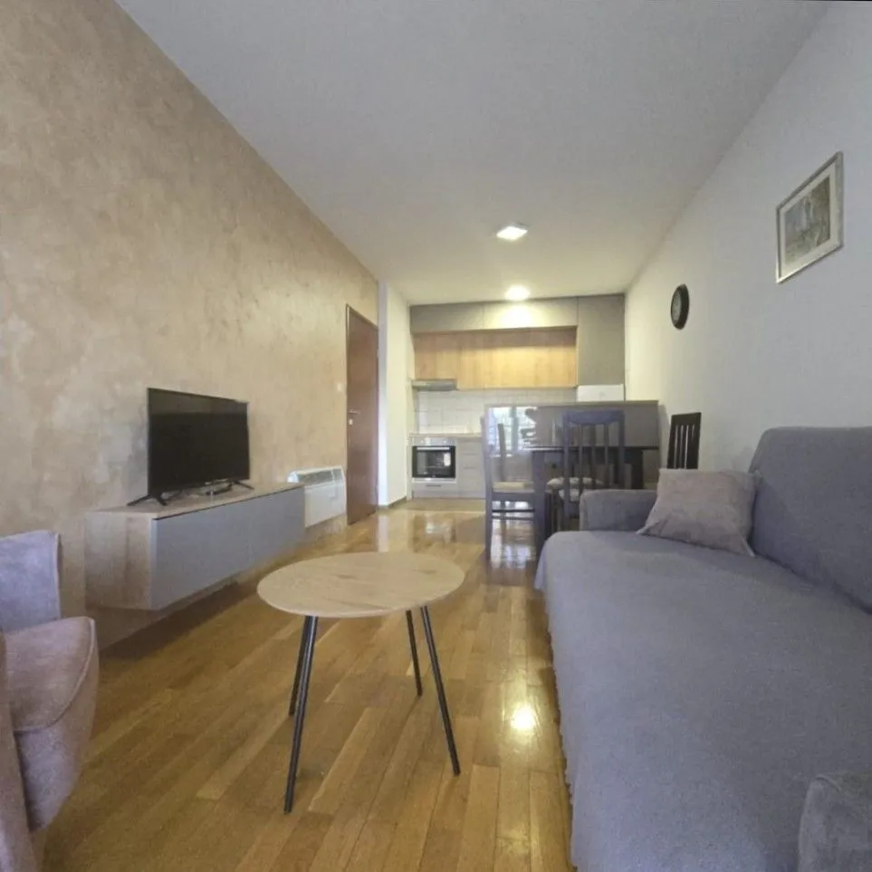 Rent, one bedroom apartment, 48m², Zabjelo, Podgorica