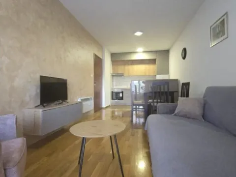 Izdavanje, jednosoban stan, 48m², Zabjelo, Podgorica - image 4