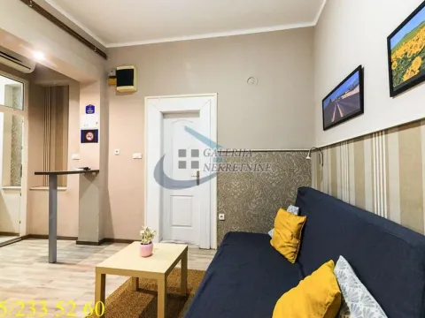 Izdavanje, dvosoban stan, 30m², Skadarlija, Beograd - image 4