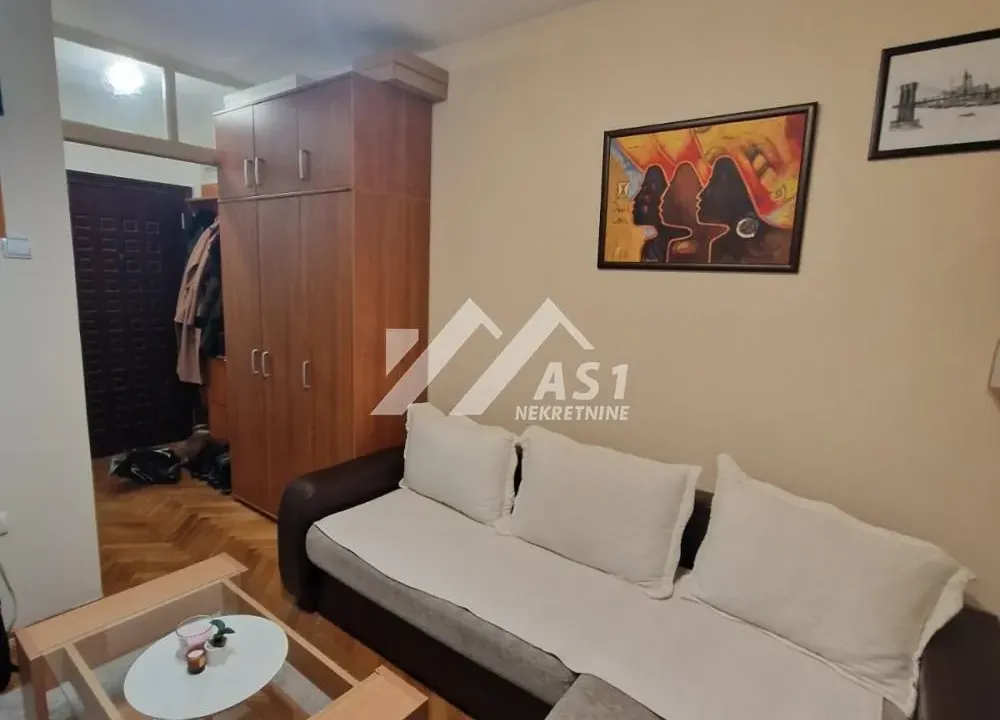 Izdavanje, stan, 25m², Sajam, Novi Sad Sve Podlokacije