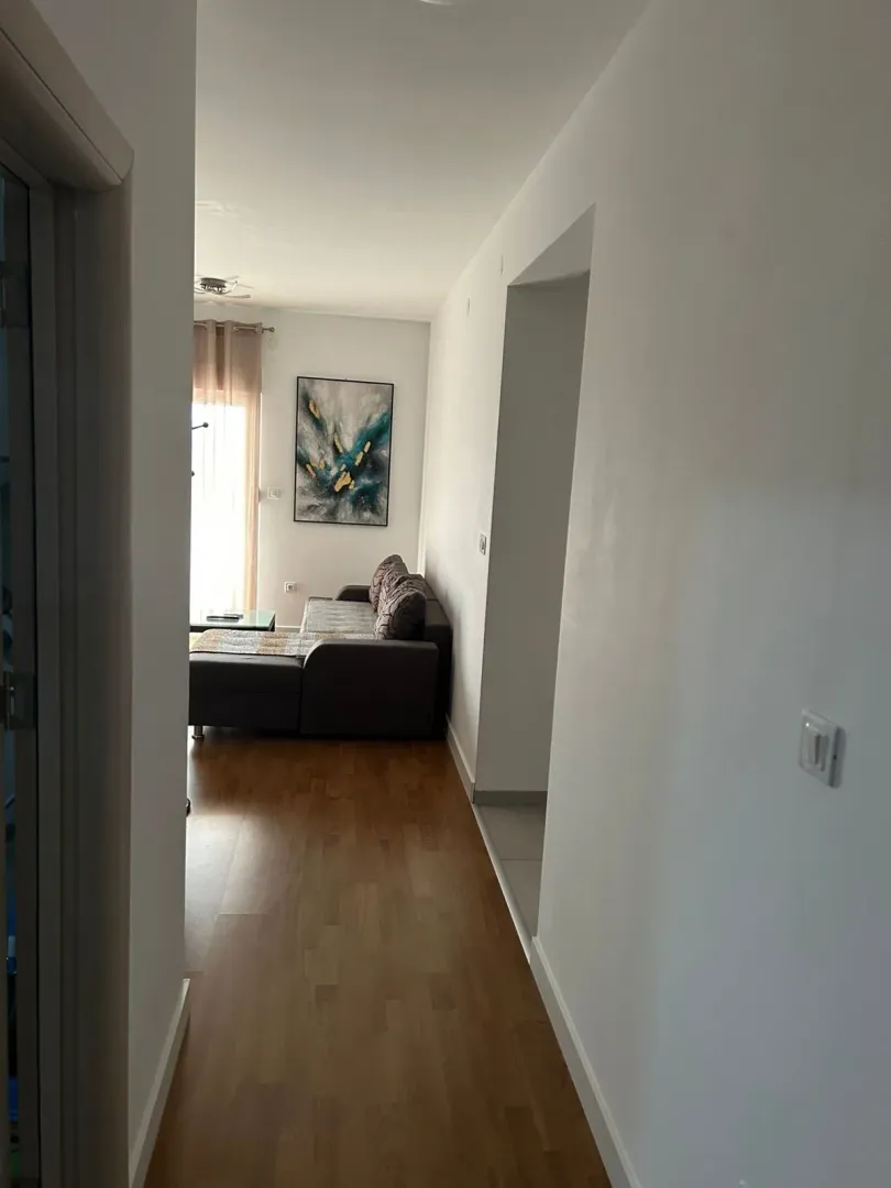 Rent, one bedroom apartment, 59m², Central Point, Podgorica
