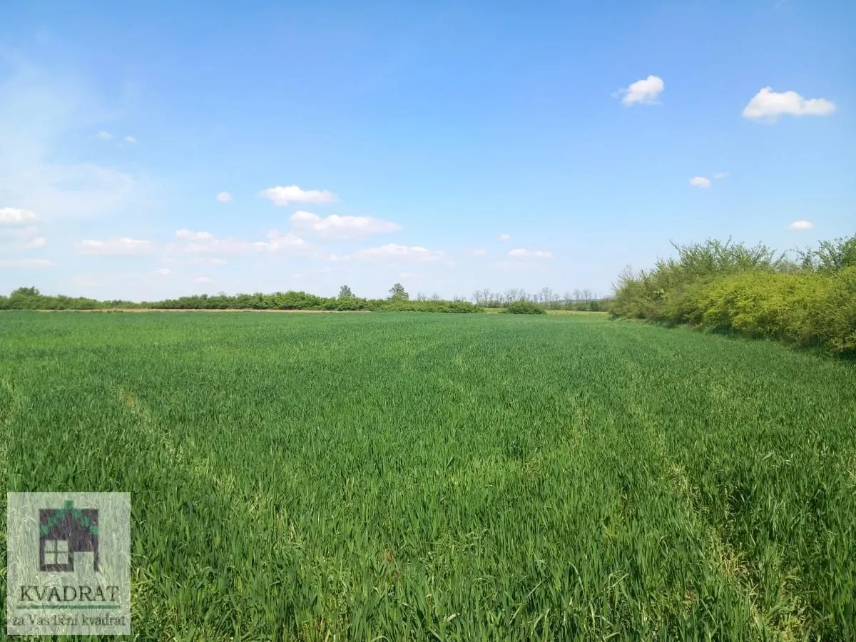 Prodaja, plac, 7600m², Obrenovac, Beograd