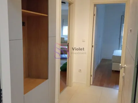 Izdavanje, jednosoban stan, 49m², Central Point, Podgorica - image 7