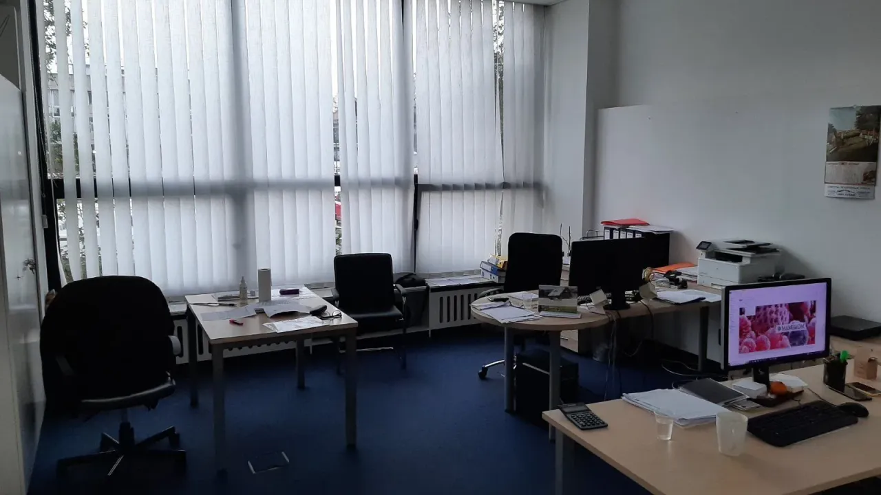 Prodaja, poslovni prostor, 295m², Beograd, Srbija