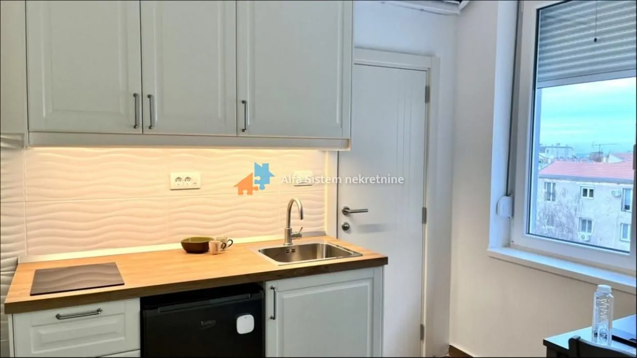 Izdavanje, jednosoban stan, 20m², Vračar Sve Podlokacije, Beograd