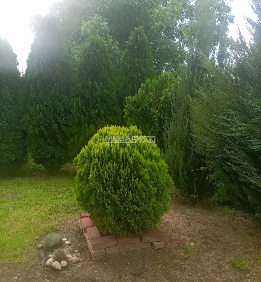 Rent, three bedroom apartment, 61m², Bezanijska Kosa 2, Bežanijska Kosa Sve Podlokacije