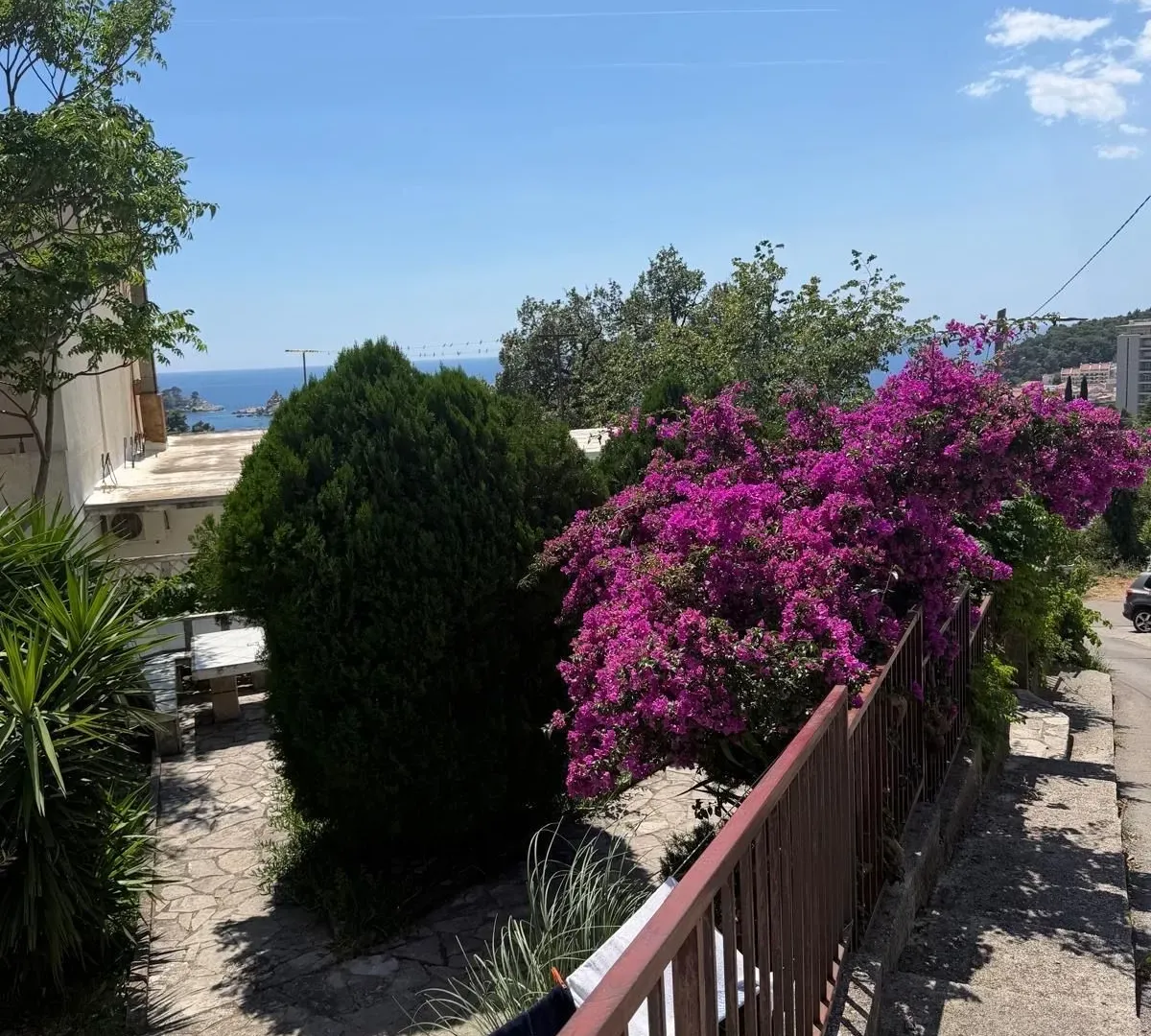 Prodaja, jednosoban stan, 32m², Petrovac, Budva
