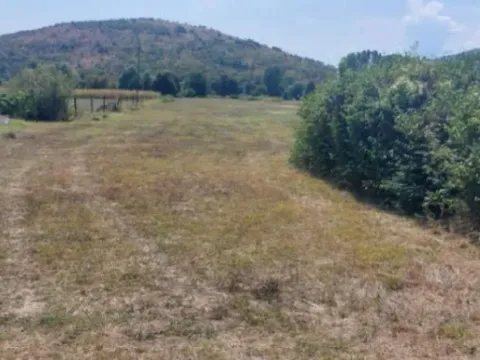  Land Lot for Sale, 13000m2, Bandići, Danilovgrad