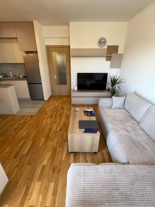Rent, one bedroom apartment, 46m², Zagorič, Podgorica
