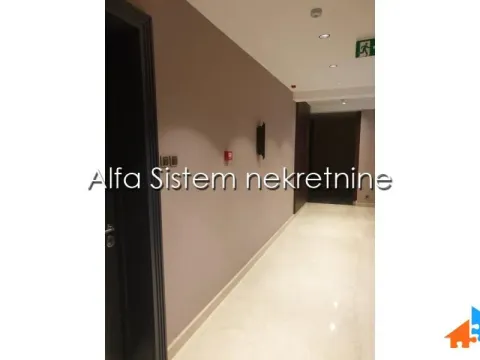 Izdavanje, dvosoban stan, 104m², Vračar Centar, Vračar Sve Podlokacije - image 12