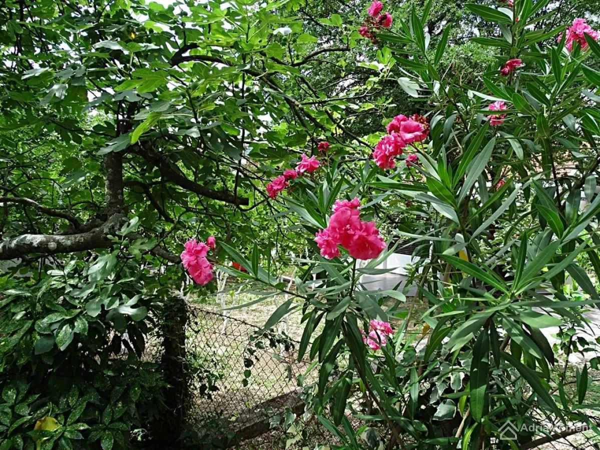 Sale, house, 78m², Orahovac, Kotor