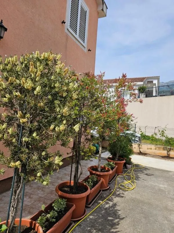 Prodaja, kuća, 238m², Budva, Crna Gora