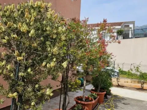 Sale, house, 238m², Budva, Crna Gora - image 9