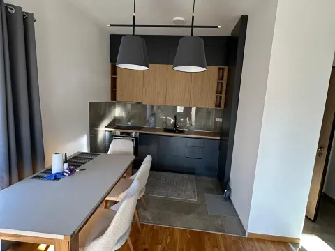 Rent, one bedroom apartment, 45m², Zabjelo, Podgorica - image 5