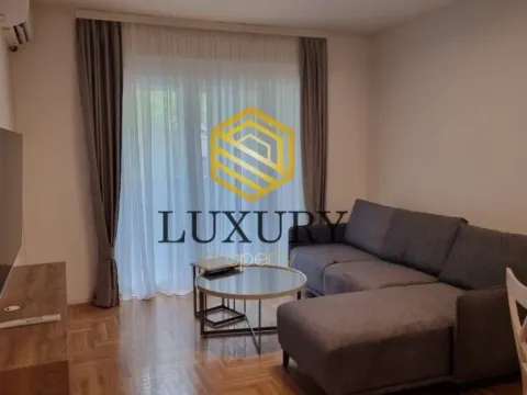 Rent, apartment, 47m², Stari Aerodrom, Podgorica - image 2