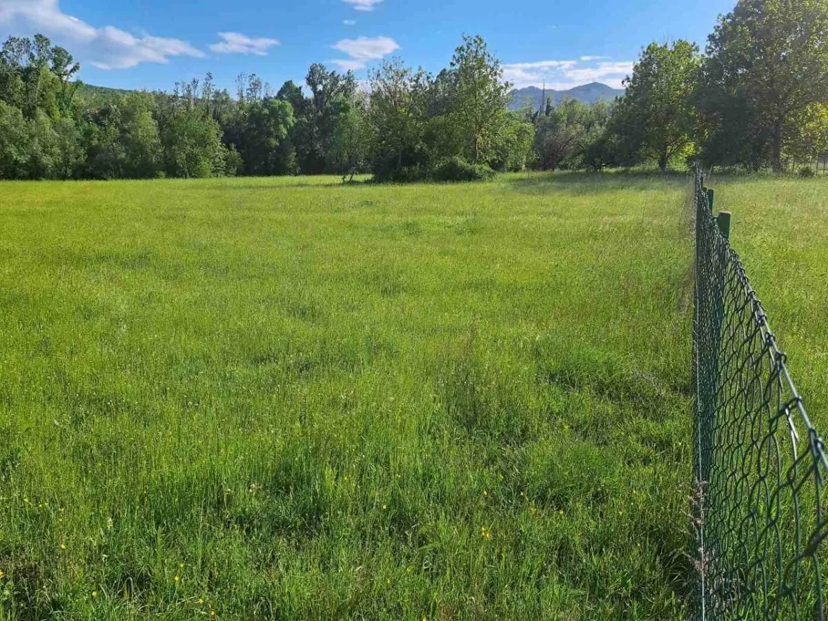 Prodaja, plac, 7800m², Spuž, Danilovgrad