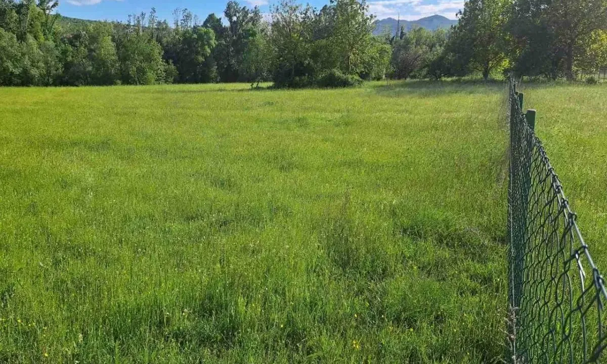 Sale, land lot, 7800m², Spuž, Danilovgrad