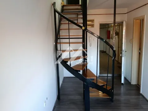 Izdavanje, dvosoban stan, 50m², Telep, Novi Sad Sve Podlokacije - image 3