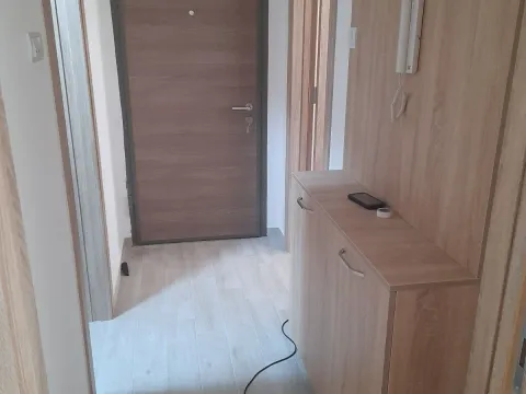 Rent, one bedroom apartment, 44m², Ljubović, Podgorica - image 4