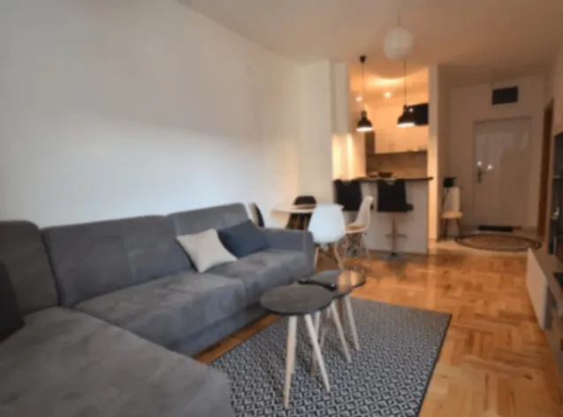 Rent, one bedroom apartment, 45m², Ljubović, Podgorica