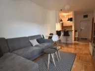 Rent, one bedroom apartment, 45m², Ljubović, Podgorica - image 1