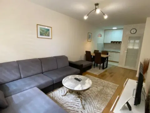 Izdavanje, jednosoban stan, 47m², Central Point, Podgorica - image 4