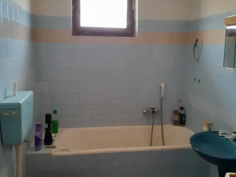 Prodaja, kuća, 200m², Bački Petrovac, Novi Sad - image 14